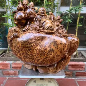 Tượng Di Lặc Ngồi Bao Tiền Ngũ Phúc Gỗ Nu Ngọc Am Dầy Kín Nu To Nặng Liền Khối G5302