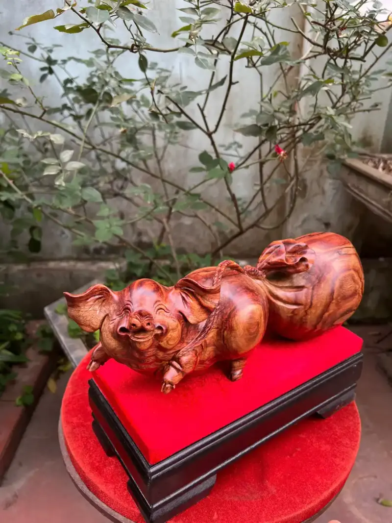 Tượng Heo Kéo Bao Tiền Gỗ Sưa Bắc Liền Khối G5326