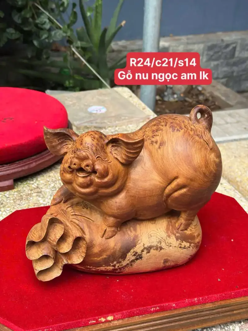 Tượng Heo Tài Lộc Gỗ Nu Ngọc Am Liền Khối Hàng Đẹp G5332