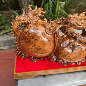 nhat-long-nha-ngoc-go-nu-ngoc-G5339-3 Tượng Nhất Long Nhả Ngọc Gỗ Nu Ngọc Am Kích Thước K Tính Kỷ Liền Khối G5339