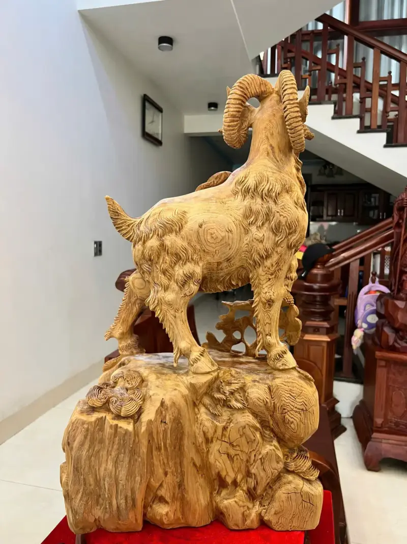 z7632525519985_53213b7103368686398d6ac6a12c7c7a Tượng Gỗ Nhất Dê Gỗ Ngọc Am To Đẹp Gỗ Già Đang Lên Tuyết Liền Khối 76 - 46 - 22