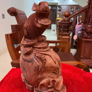 z7639474274996_c13d4688d5dc412ecb8f53eecb1cf353 Tượng Gỗ Chuột Bê Vàng Gỗ Cẩm Việt Liền Khối (Mộc) 31 - 20 - 14