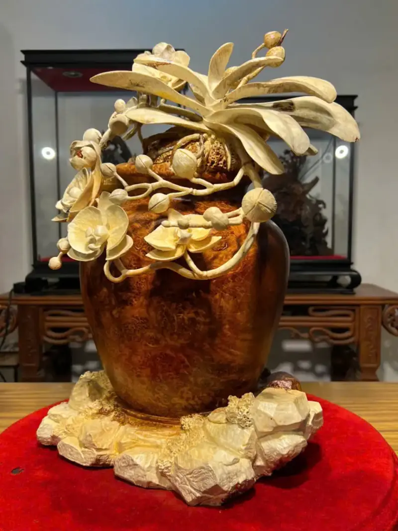 Bình Hoa Lan Gỗ Nu Hương Cao 55cm
