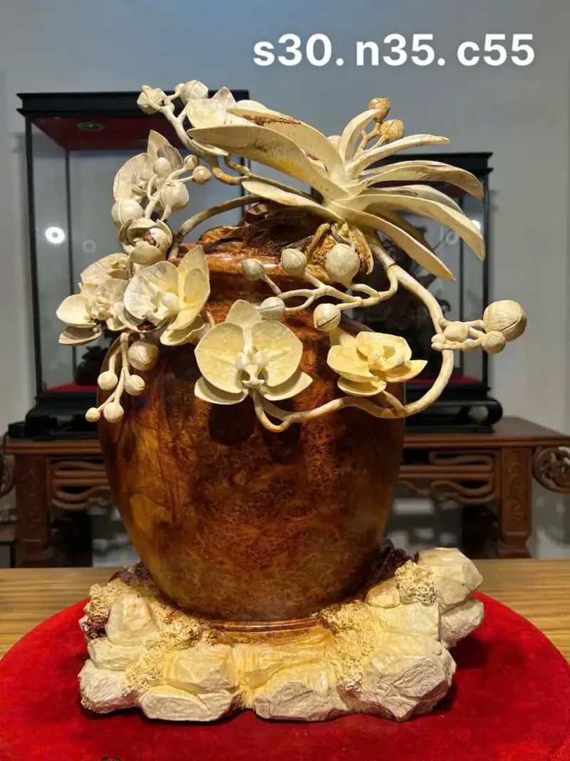 Bình Hoa Lan Gỗ Nu Hương Cao 55cm