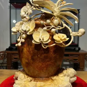 Bình Hoa Lan Gỗ Nu Hương Cao 55cm