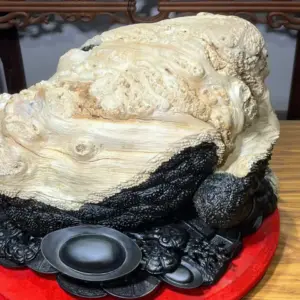 z7747504460206_ddeb775e785f6d2b6f5ce579f4070b03 Tượng Cóc Gỗ Nu Mun Cao 32cm