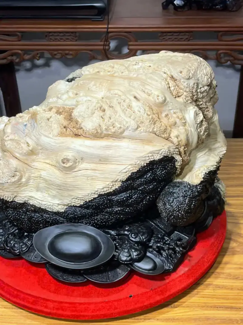 z7747504460206_ddeb775e785f6d2b6f5ce579f4070b03 Tượng Cóc Gỗ Nu Mun Cao 32cm
