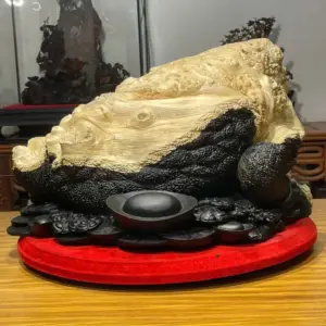 z7747504474413_0e48a162835ac0f6eddd019d4004b9c8 Tượng Cóc Gỗ Nu Mun Cao 32cm