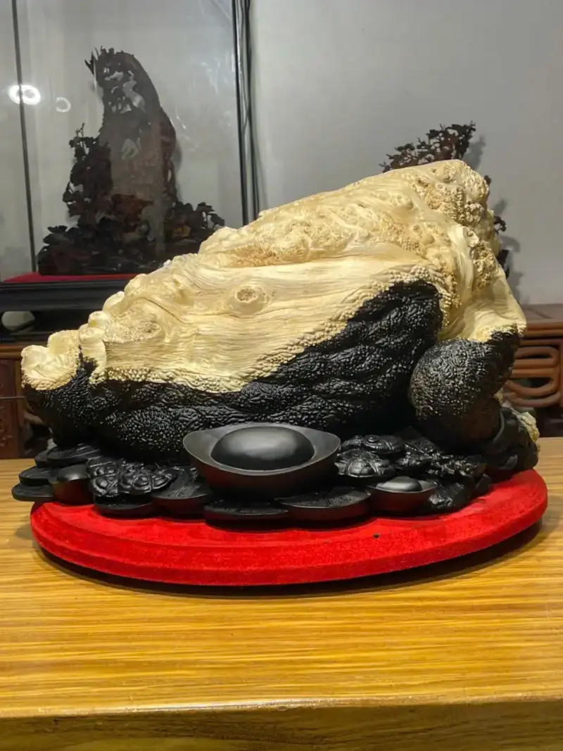 z7747504474413_0e48a162835ac0f6eddd019d4004b9c8 Tượng Cóc Gỗ Nu Mun Cao 32cm