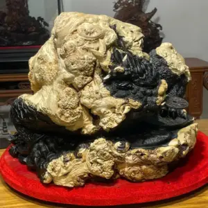 z7747504474736_1a97b3c42d3f76c2405993040d12d696 Tượng Cóc Gỗ Nu Mun Cao 32cm