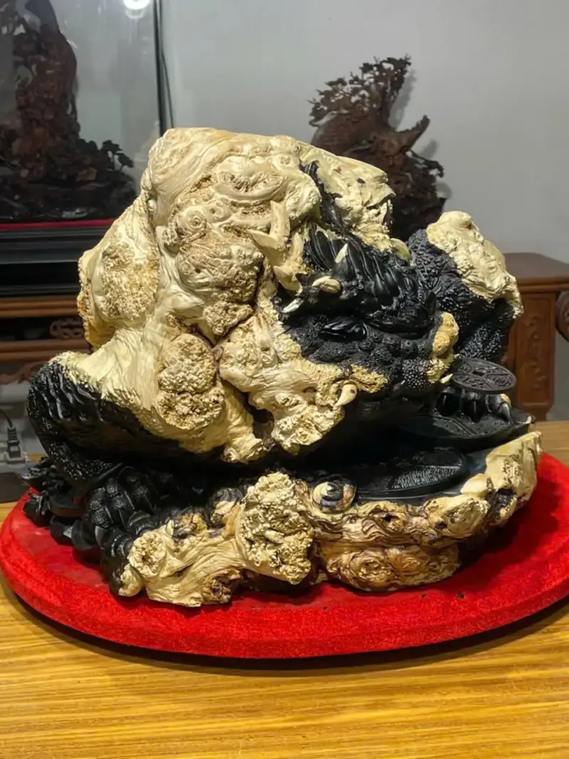 z7747504474736_1a97b3c42d3f76c2405993040d12d696 Tượng Cóc Gỗ Nu Mun Cao 32cm