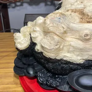 z7747504511710_52bf879877fb6e6db2a8677d8761cba8 Tượng Cóc Gỗ Nu Mun Cao 32cm