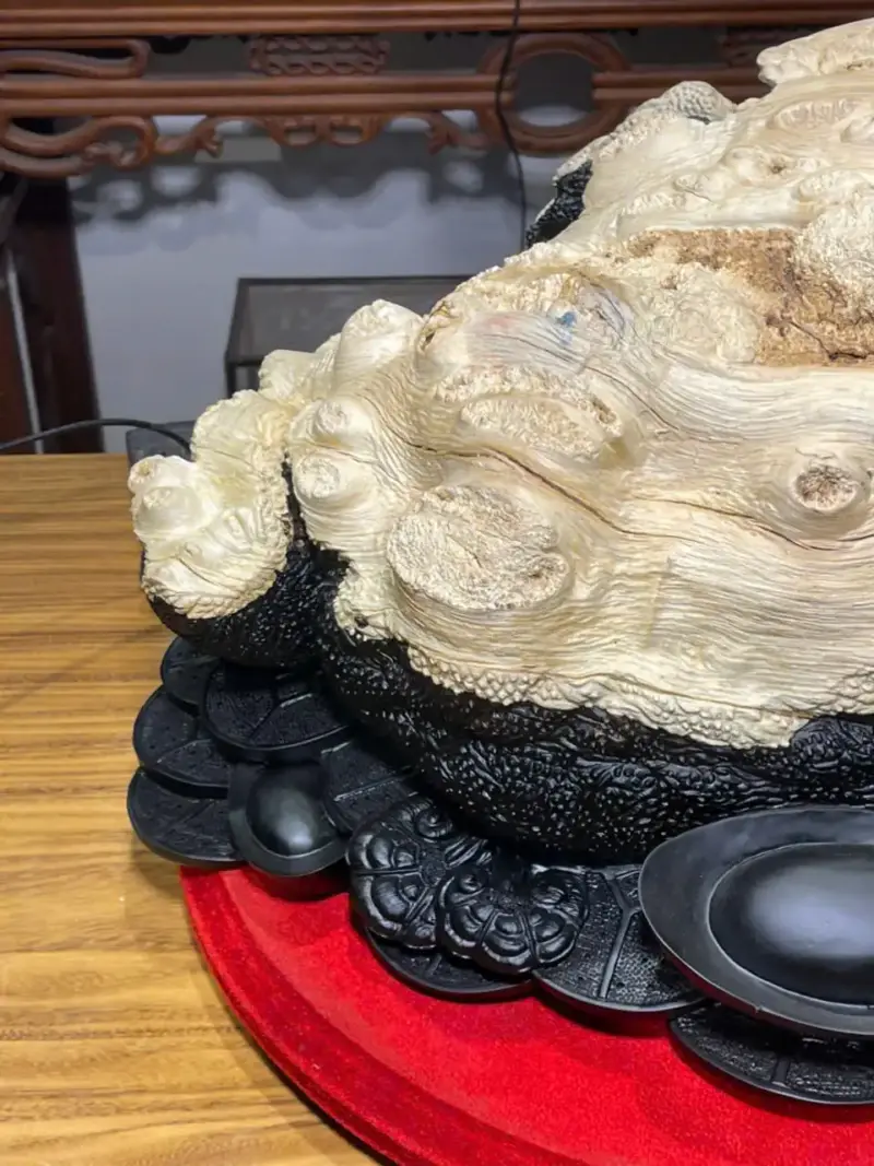 z7747504511710_52bf879877fb6e6db2a8677d8761cba8 Tượng Cóc Gỗ Nu Mun Cao 32cm