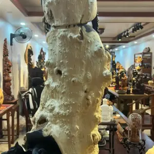 Tượng Đạt Ma Gỗ Nu Mun Cao 106cm