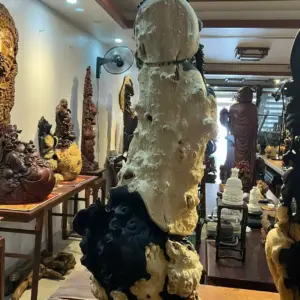 Tượng Đạt Ma Gỗ Nu Mun Cao 106cm
