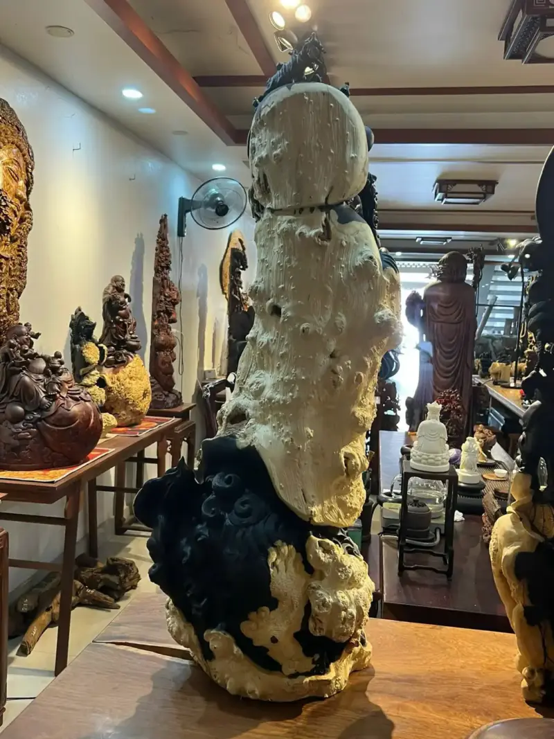 Tượng Đạt Ma Gỗ Nu Mun Cao 106cm