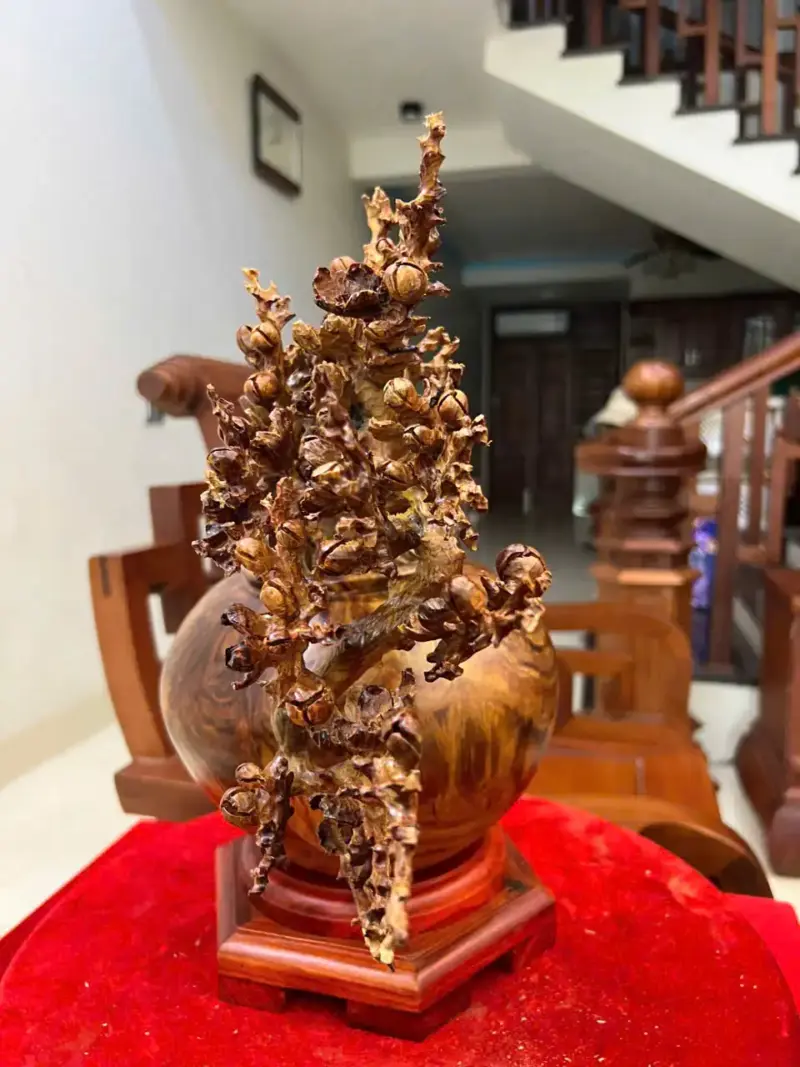 z7889519855466_f64779e2253205b3afe1a51a63469e9d_Bình Mai Đổ Gỗ Sưa Bắc Giá 5.900 Triệu Kích Thước Cao 27cm, Ngang 38cm, Sâu 20cm Bình Mai Đổ Gỗ Sưa Bắc Cao 27cm